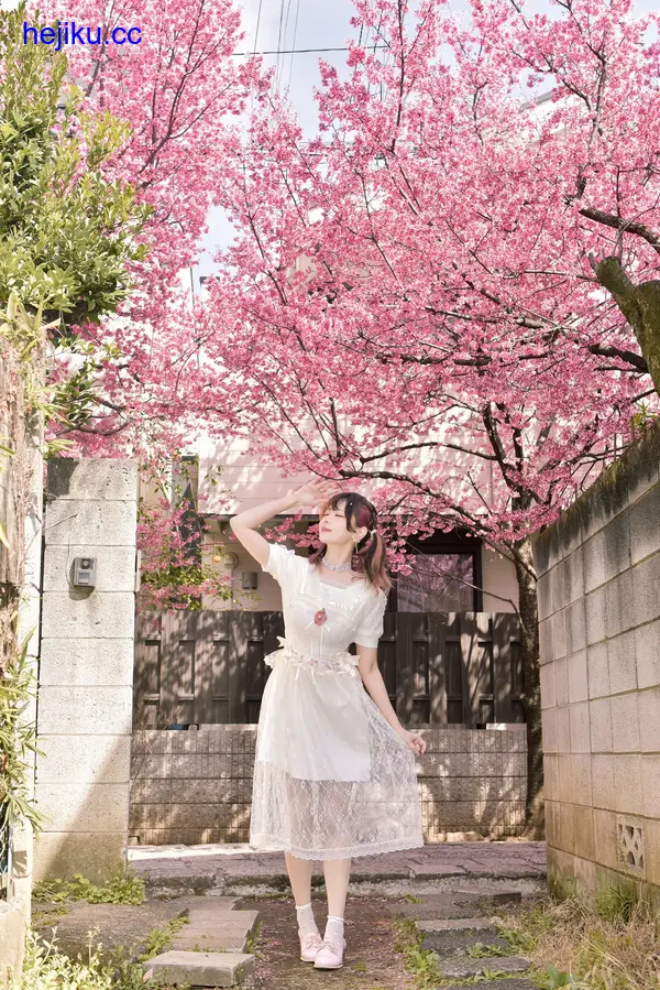 ElyEE子 – 全套作品及随包视频[2026.7月-更新至230期-共31.4G]